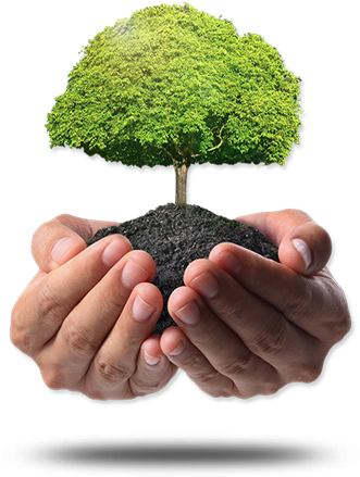 Tree in hands